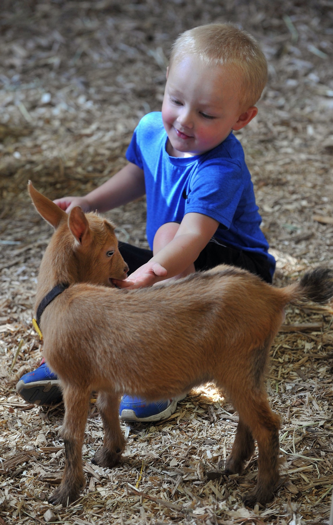 Day 5 of the Mississippi Valley Fair